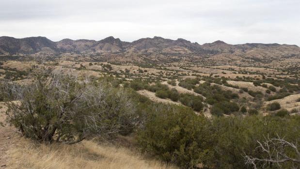 Forest Service to decide on Rosemont Mine in early June